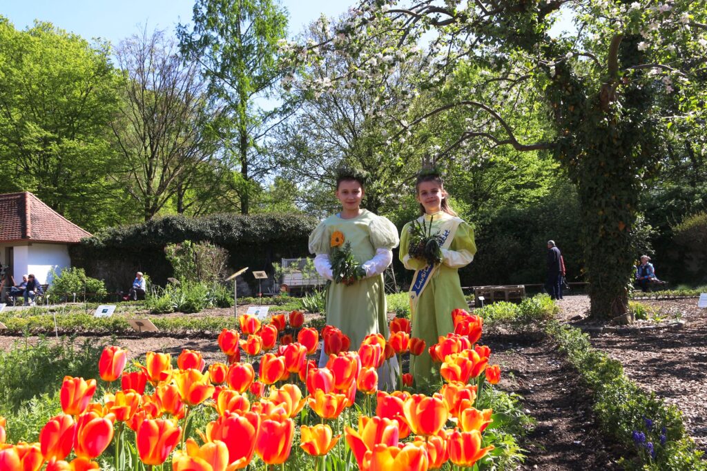 Die Gartensaison beginnt …