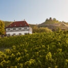 Weinbautradition in malerischer Umgebung